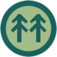 Grand Pines Plaza logo